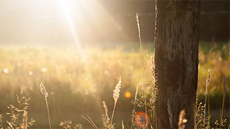 怎么去攻击一个网站与防护