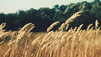 怎么去攻击一个网站与防护